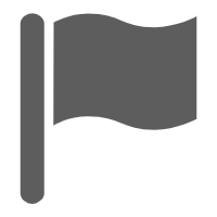 Report icon